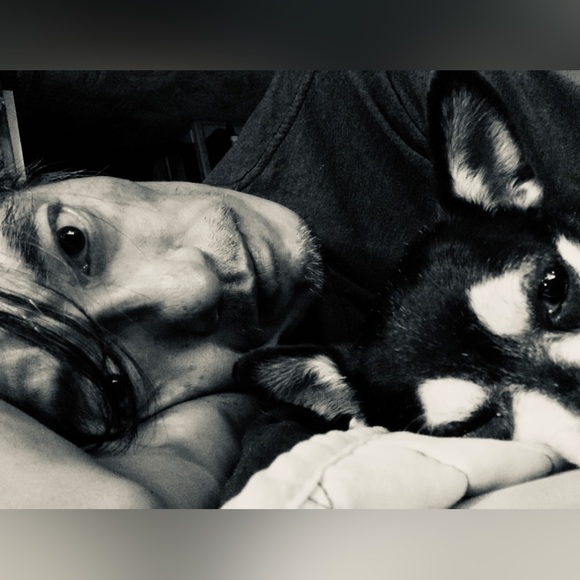 Meet your Posher, Frankie - Picture 1 of 3